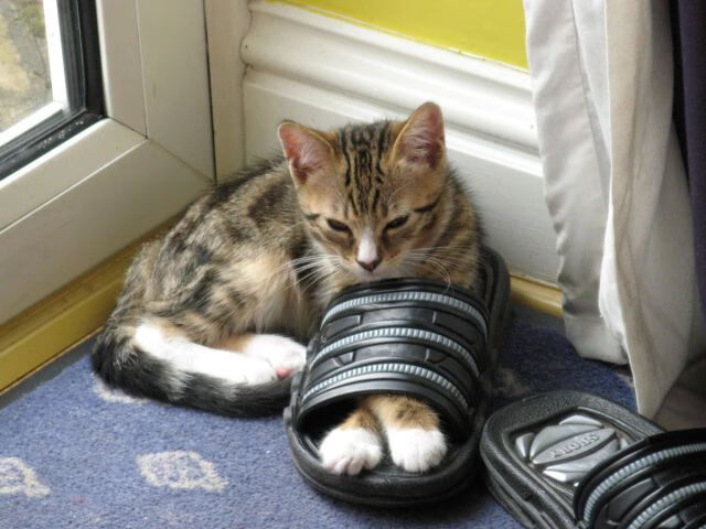 开云体育中国-死神降临！哈登终场11.2秒绝命三分击穿标靶中心，湖人惊险带走胜利