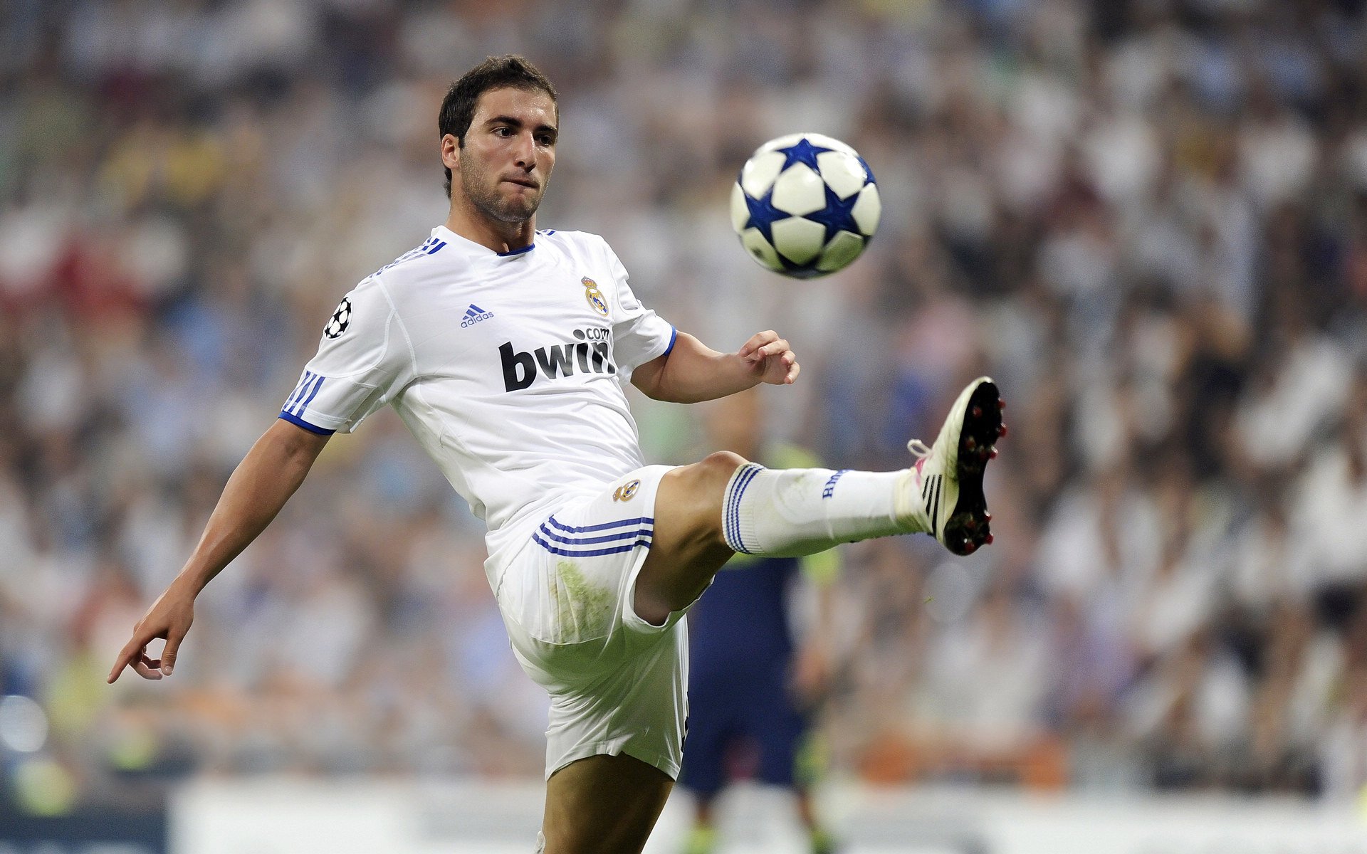 开云体育平台APP-巴黎雨夜绝杀！F1街道赛史诗级逆袭，勒克莱尔如何用三停战术撕碎维斯塔潘的卫冕蓝图？