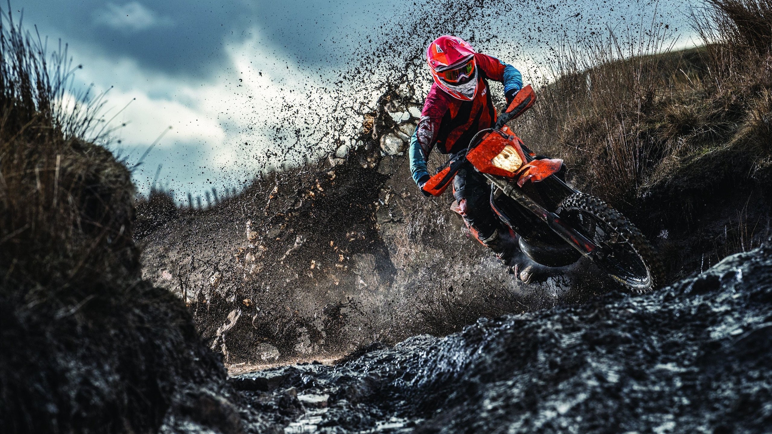 天赋之巅的狂想曲！文班亚马暴走难救主，广厦铁军靠体系擒猛龙显冠军相